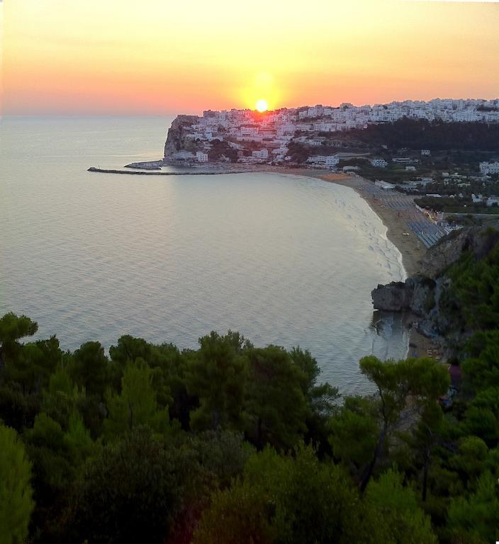 Hotel D'Amato Peschici Εξωτερικό φωτογραφία