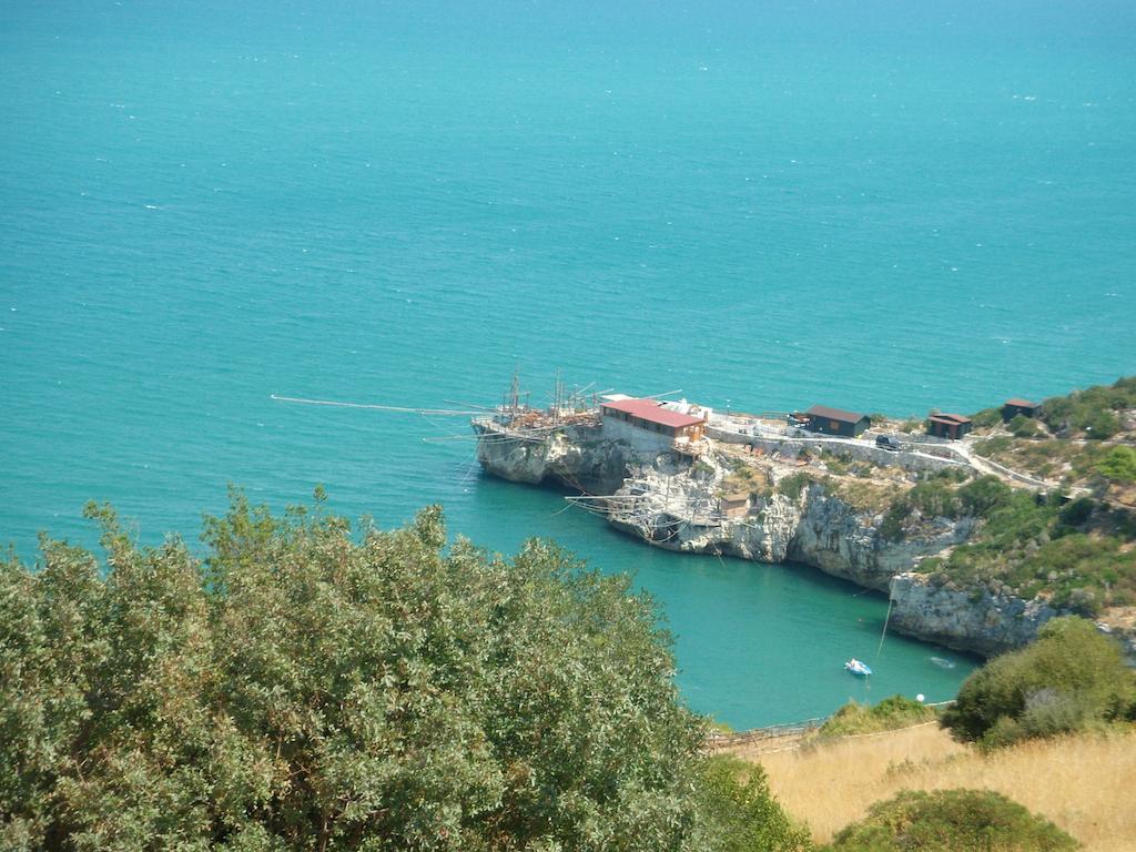 Hotel D'Amato Peschici Εξωτερικό φωτογραφία