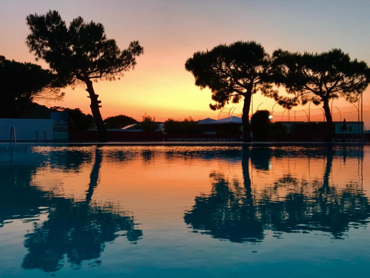Hotel D'Amato Peschici Εξωτερικό φωτογραφία